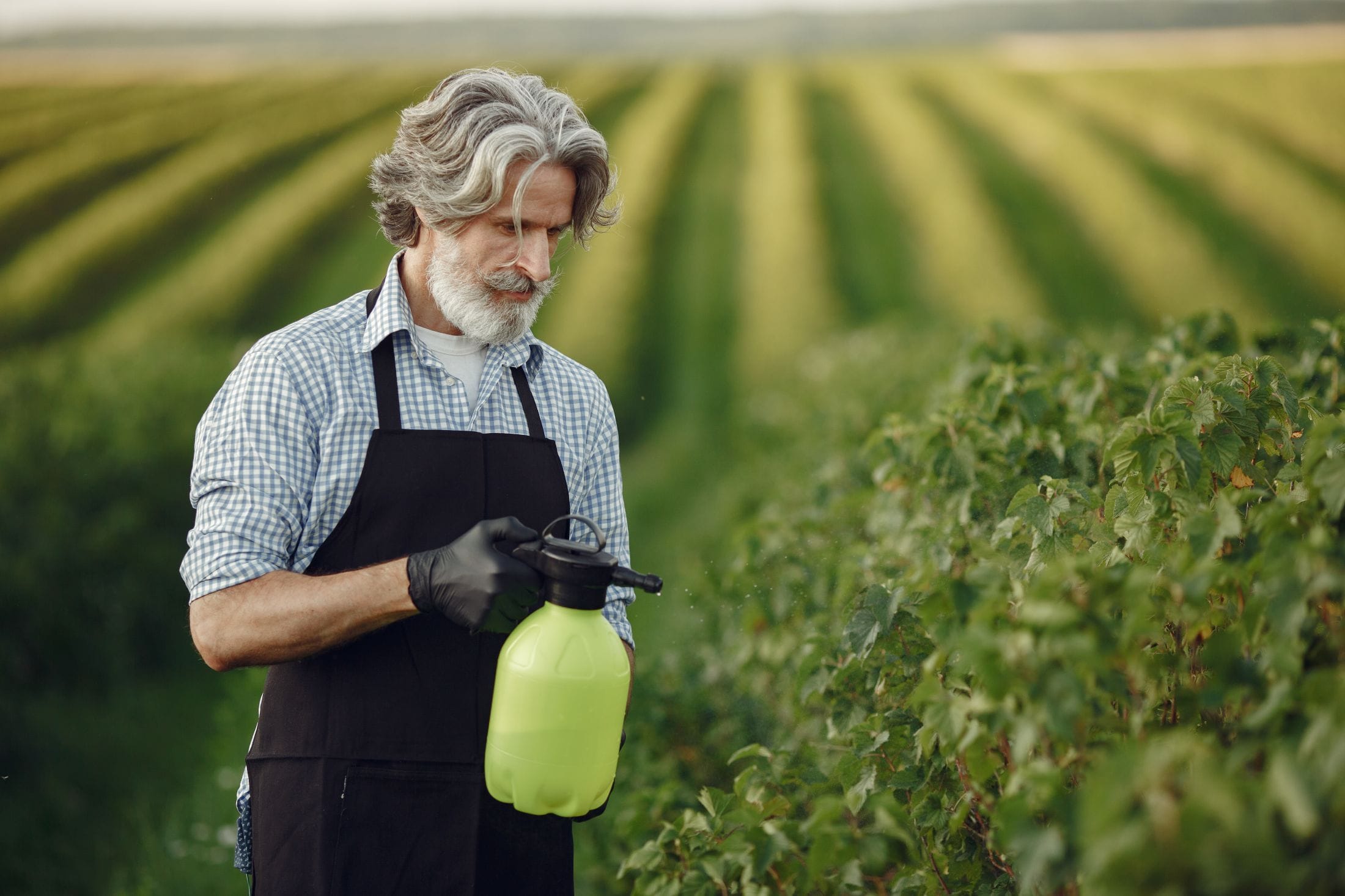 Roundup Lawsuits